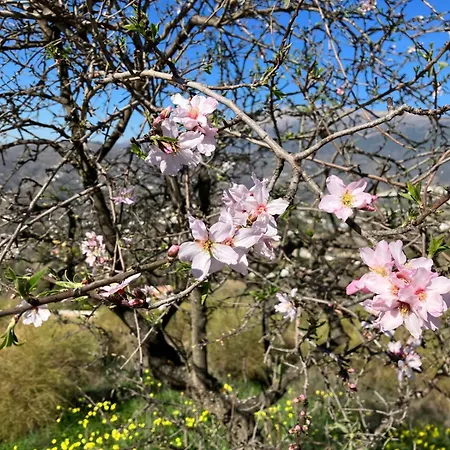 Casa Tragabalas 康佩塔