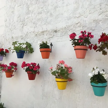 Casa Tragabalas Cómpeta