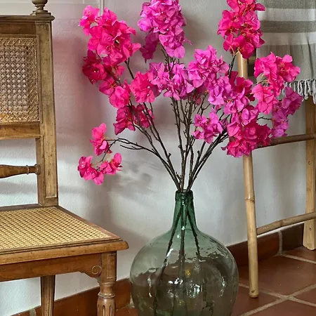 Casa Tragabalas Frühstückspension