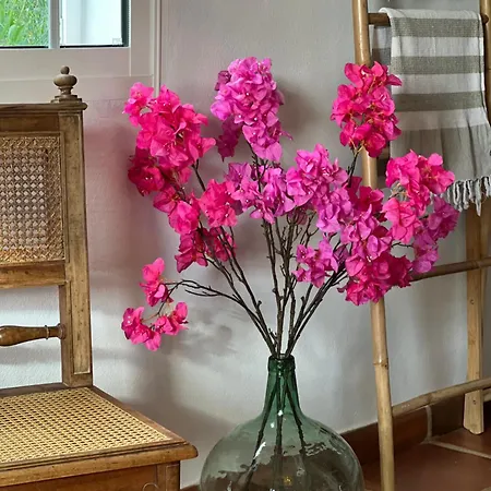 Casa Tragabalas Bed & Breakfast