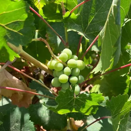 Casa Tragabalas 4* Competa