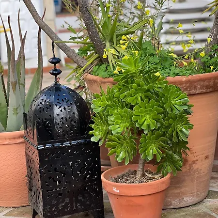 לינה וארוחת בוקר Casa Tragabalas